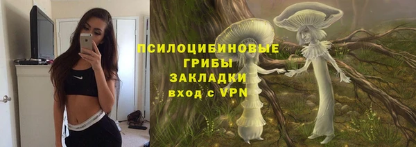 спиды Алексеевка