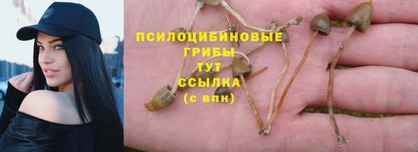 не бодяженный Алексин