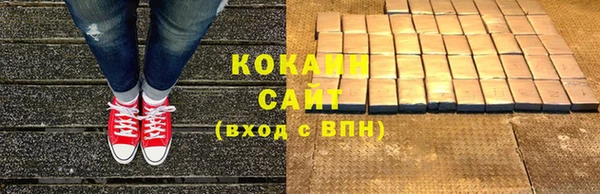 тгк Алзамай