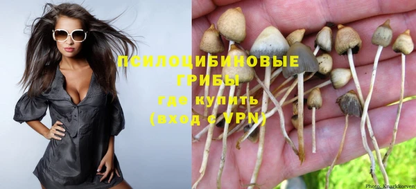 спиды Алексеевка