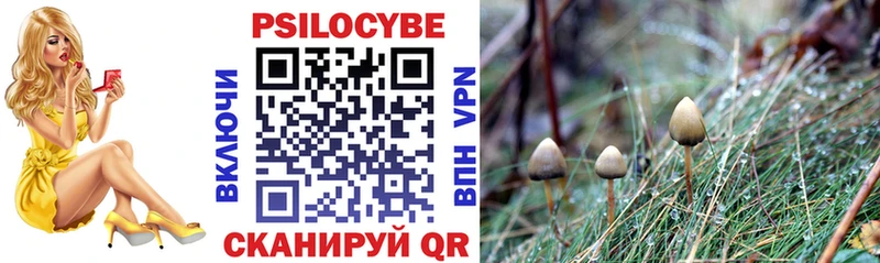 Галлюциногенные грибы прущие грибы Туймазы